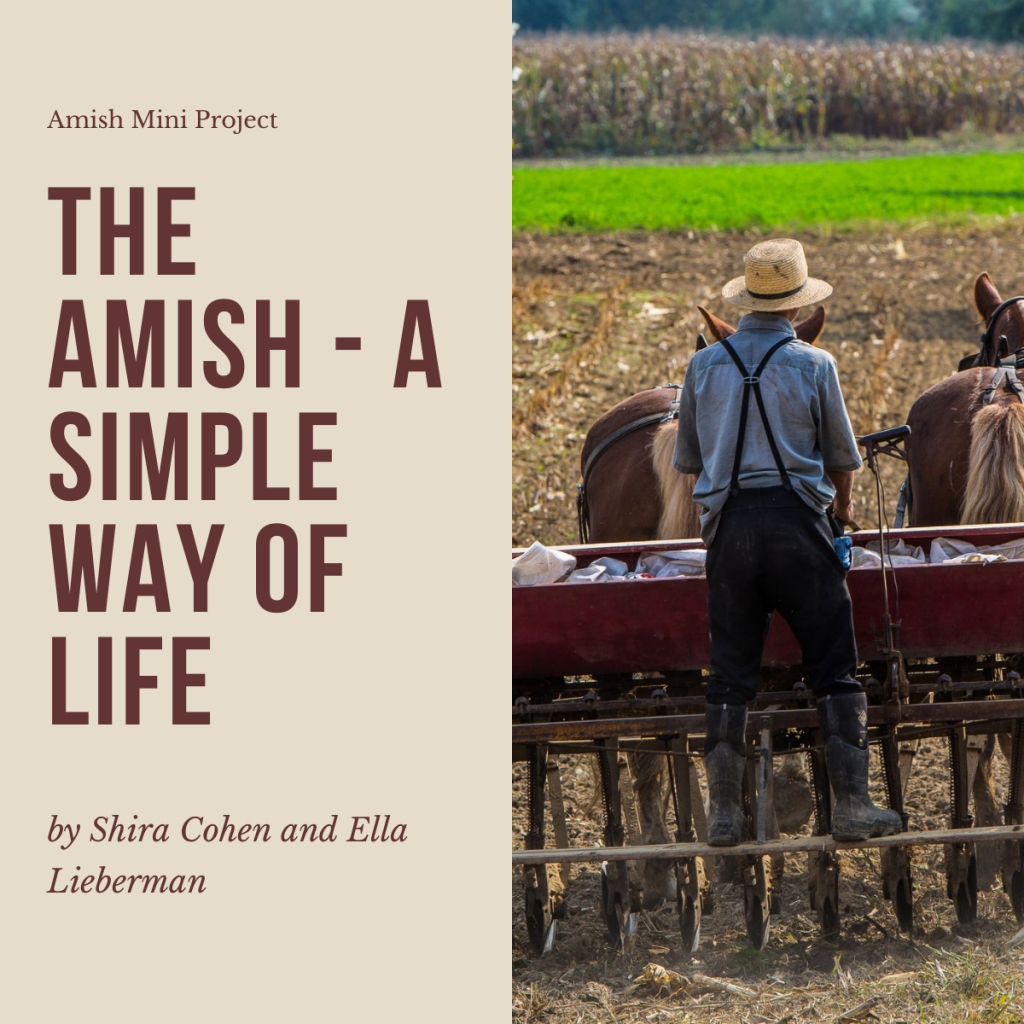 The Amish – A Simple Way of Life by shira cohen - Ourboox.com