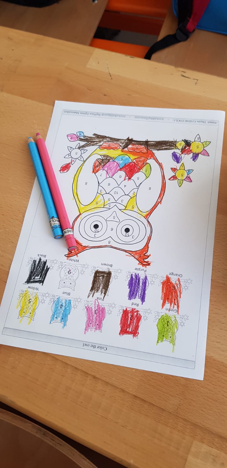 Coloring Activities by Duygu Yanar - Illustrated by Duygu YANAR-Ayşe Tokur Primary school - Ourboox.com