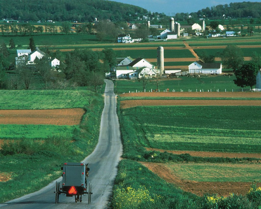 the Amish by talya dimri - Ourboox.com