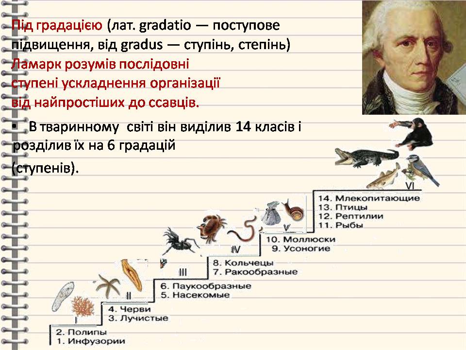 Еволюція 9 клас by Pidgorodetska Olena - Ourboox.com