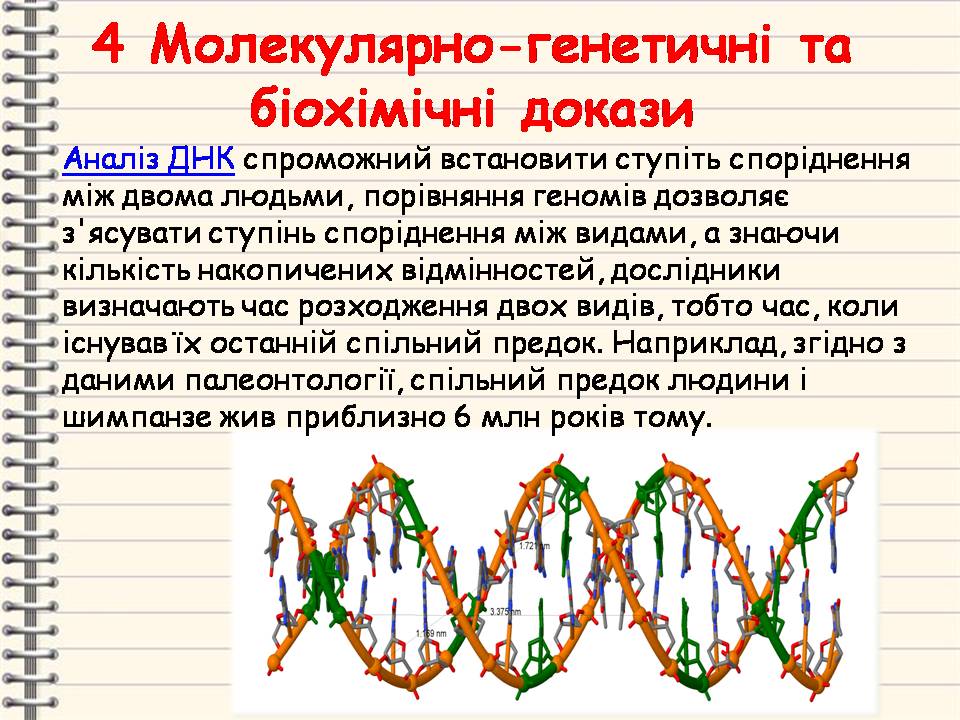 Еволюція 9 клас by Pidgorodetska Olena - Ourboox.com