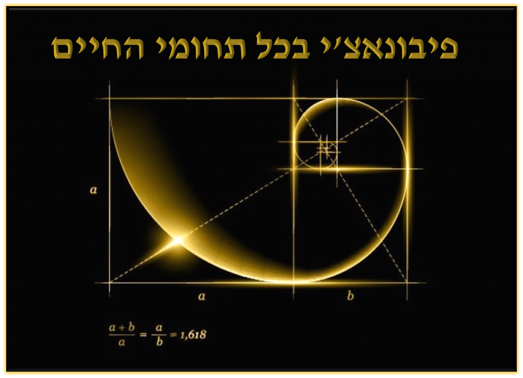 פיבונאצי בכל תחומי החיים by mariana mazzawi - Ourboox.com