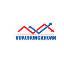 Profile picture of Vua Chung Khoan