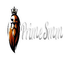 Profile picture of PrimeSMM