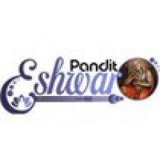 Profile picture of Pandit Eshwar Ji