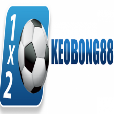 Profile picture of Keo bong 88