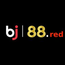 Profile picture of BJ88