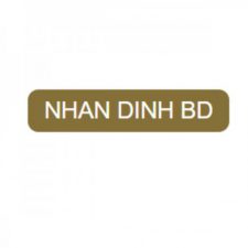 Profile picture of Nhan Dinh bd