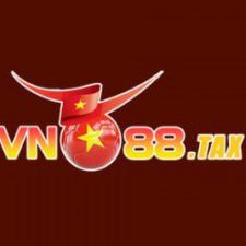 Profile picture of VN TAX