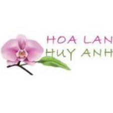 Profile picture of Hoa Lan Huy Anh