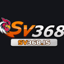 Profile picture of nhacaisv is